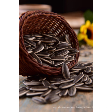 striped sunflower seed 5009 black sunflower seeds